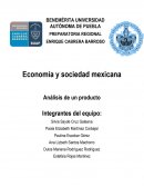 Economía y sociedad mexicana Análisis