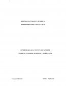 LAS PERSONAS JURIDICAS Y NATURALES