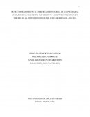 DE QUÉ MANERA INFLUYE EL COMPORTAMIENTO SOCIAL DE LOS PRÓGRAMAS ANIMADOS DE LA TELEVISIÓN, QUE OBSERVAN LOS ESTUDIANTES DE GRADO TERCERO EN LA INSTITUCIÓN EDUCATIVA JULIUS SIEBER EN EL AÑO 2018.