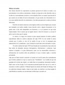 Ensayo “la atracción del archivo”