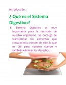 Estructuras del sistema digestivo