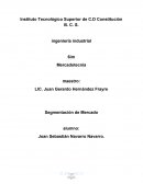 Mercadotecnia - Segmentación de Mercado