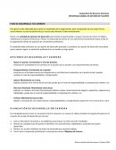 Guía para la elaboración de tu plan de carrera