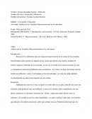 Ensayo del Análisis de las Variables Macroeconomicas en la vida diaria
