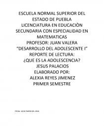 DESARROLLO DEL ADOLESCENTE I. Página 1