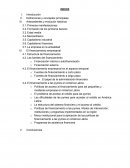 Financiamiento monografia