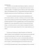 El ser humano con sus actividades