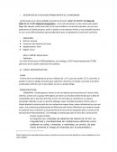 REALIDAD PROBLEMATICA LA RINCONADA