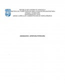ASIGNACION II. APERTURA PETROLERA