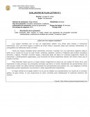 Pauta de evaluación de Mapa mental de Cruzada en Jeans