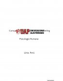 Publicitaria y Marketing