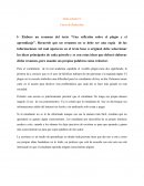 SENAMA DEL CURSO REDACION