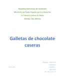 Galletas de chocolate caseras