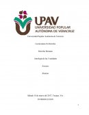 Antología de las 5 unidades
