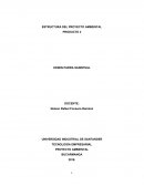 Producto 2: Estructura del Proyecto Ambiental