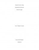 Mapa de Concepto Tarea 5.2 NURS 4000