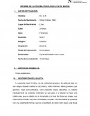 INFORME DE LA PRUEBA PSICOLÓGICA ICE DE BARON