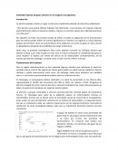 Elasticidad ingreso del gasto sanitario en los hogares nicaragüenses.