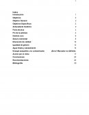 Relaciones internacionales camboya