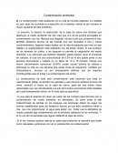 Contaminación ambiental resumen