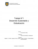 Desarrollo Sustentable y Globalización Trabajo