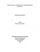 Safari Ecológico y Estructura del Problema Ambiental