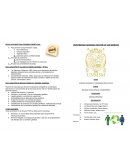 Proyecto del Genoma Humano
