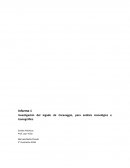 Investigación del legado de Caravaggio, para análisis iconológico e iconográfico.
