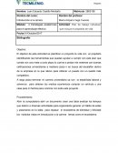 Actividad: Plan de trabajo individual que incluya el propósito de vida