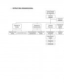 Informe de auditoria, empresa SERVIMPORT S.A.