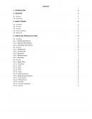 ANÁLISIS DEL PROYECTO DE SIFÓN