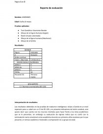 Reporte de evaluación Pruebas aplicadas. Página 1