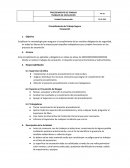 Procedimiento de Trabajo Seguro Excavación