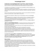 Psicopedagogía Laboral Introducción a la psicopedagogía laboral- Sara D’Anna y Liliana Hernández