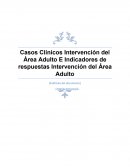 Casos Clínicos Intervención del Área Adulto E Indicadores de respuestas Intervención del Área Adulto