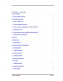 Plan de negocio para una empresa comercializadora de neumaticos