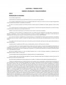 Capítulo I: Introducción – Clases de Auditoría