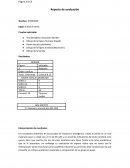 Reporte de evaluación Pruebas aplicadas