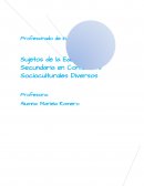 Sujetos de la Educación Secundaria en Contexto s Socioculturales Diversos