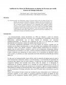 Análisis de los efectos de fitohormonas en plantas de Zea mays por medio técnicas de biología molecular