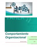 Tarea iacc semana 1 comportamiento organizacional