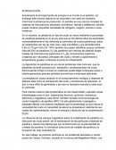 Petroleo-principal fuente de energía