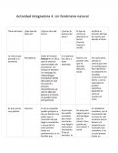 Actividad integradora 4. Un fenómeno