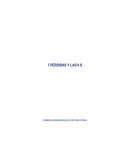 Las 7 pérdidas y las 9S: Herramientas clave para la eficiencia industrial