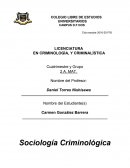 Subcultura, contracultura, culturas juveniles y tribu