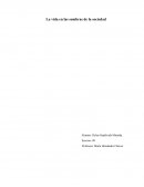 La vida en las sombras de la sociedad