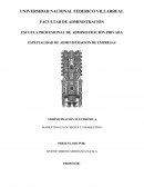 ENSAYO DEL MARKETING DIGITAL