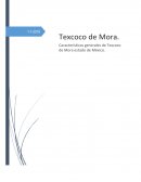 La importancia que Texcoco tiene en el estado de México