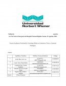 Calidad de atención en el Servicio de Emergencia del Hospital Nacional Hipólito Unanue, El Agustino, 2018