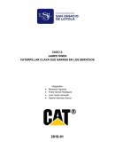 CASO 2: JAMES OWEN CATERPILLAR CLAVA SUS GARRAS EN LOS SERVICIOS